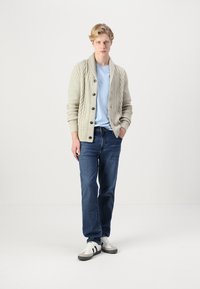 Cardigan tricoté gris clair avec un col châle et une fermeture à bouton, porté sur une chemise bleu clair. Un jean bleu marine et des baskets blanches complètent le look.