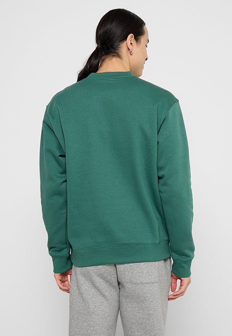 Felpa in cotone verde con polsini e orlo a costine, caratterizzata da un colletto tondo, una vestibilità rilassata e una texture morbida. Mostrata vista dalla parte posteriore.