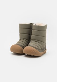 Wheat DELANEY - Ziemas zābaki - dry pine