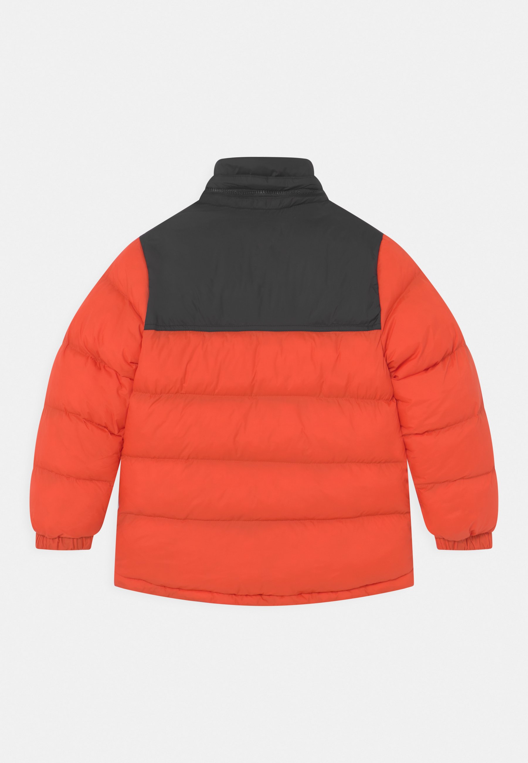 Timberland PUFFER - Žieminė striukė - peach/oranžinė - Zalando.lt