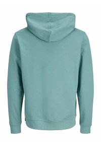 Hele rohelise tooniga pikkade varrukatega kapuutsiga dressipluus, nähtud tagant, millel on kitsendatud kapuuts ning soonikkoes mansetid ja ääred.