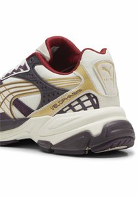 Puma PLAY LOUD VELOPHASIS - Tenisky - warm white-midnight plum