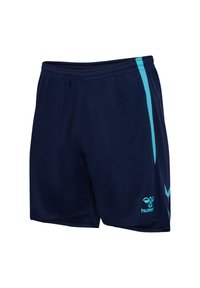 Niet geselecteerd, marine blue fish