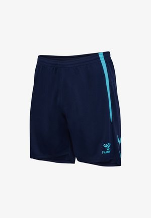 Shorts de sport bleu marine avec des bandes latérales bleu clair et un petit logo Hummel sur la jambe avant gauche.