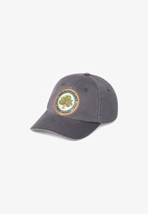 Gorra - grey