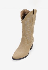 Stivale da cowboy in suede marrone chiaro con punta affusolata e tacco medio. Presenta cuciture in argento e decorazioni a motivo lungo il gambale. Chiusura con cerniera.