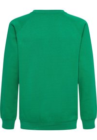 Sudadera verde hecha de tela suave, con mangas raglán, puños acanalados y un cuello redondo con un diseño liso en la parte posterior.