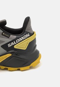 Salomon SUPERCROSS 4 GTX - Løpesko for mark - pewter/black/cress green