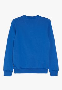 Niebieska bluza z okrągłym dekoltem, długimi rękawami oraz ściągaczami na mankietach i u dołu. Gładka tekstura bez widocznych wzorów czy ozdób.