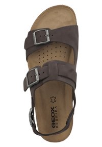 Sandal in pelle marrone con due cinturini regolabili e fibbie in tono argento. Presenta una soletta imbottita con perforazioni per la traspirabilità.