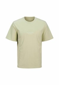 JORVESTERBRO CREW NECK - T-shirt imprimé - celadon tint
