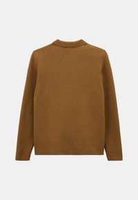 Pull marron texturé avec un col, présentant une coupe droite et des manches longues. La vue arrière montre une couleur uniforme et des détails de design minimaux.
