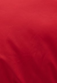 MIT KURZEM SCHNITT - Vinterjacka - equestrian red