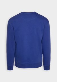 Felpa in cotone blu con collo rotondo, maniche lunghe e polsini a costine. Texture liscia, design minimalista, senza loghi o motivi visibili.