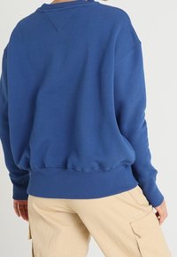 Blå bomullströja med avslappnad passform, ribbade mudd och nederkant, samt en triangeldekoration vid baksidan av halslinningen. Mjuk textur.