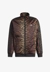 FIREBIRD LOOSE AOP - Veste de survêtement - night brown