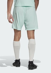 Mintgroene sportshorts met elastische tailleband, gecombineerd met witte kniekousen. Zwarte voetbalschoenen zichtbaar bij de voeten, gezien van achteren.