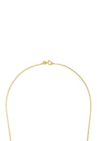 Collar de cadena de oro con un diseño delicado y delgado. Presenta un cierre de langosta y una superficie lisa y pulida, sin acentos adicionales.