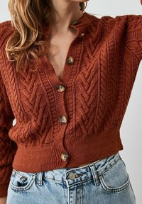 Rust-colored knitted cardigan featuring a textured cable pattern, a V-neckline, and five round buttons. Cropped length with ribbed waistband.