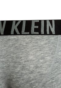 Calvin Klein Underwear TRUNKS 2 PACK - Onderbroeken - grey heather/blue shadow