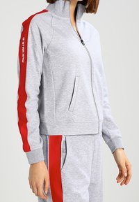 Gray zip-up sweatshirt with red side stripes, high collar, and pockets. Soft fabric, close-fitting design. Brand logo on sleeve.