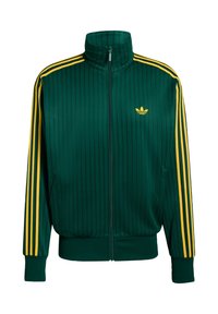 FIREBIRD - Training jacket - collegiate green