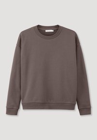 Hnědá mikina vyrobená z měkké látky. Má kulatý výstřih, volný střih, žebrované manžety a hladkou texturu. Bez viditelných vzorů nebo ozdob.