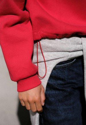 Self., REGULAR FIT - HALF ZIP SWEATSHIRT - Sweatshirt - red