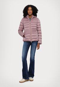 EA7 Emporio Armani GIUBBOTTO - Žieminė striukė - pink