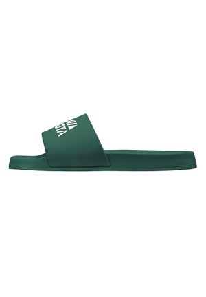 BASIC - Pool slides - dark green