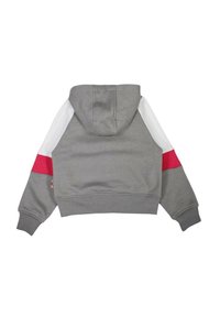 Sweat à capuche gris court avec capuche à cordon. Manches à blocs de couleurs blanc et rose. Fabriqué en matériau doux avec des poignets et un ourlet côtelés.