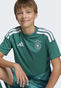 Camisola atlética verde com riscas brancas, apresentando gola redonda, logótipo e três estrelas acima deste. Tecido liso com um brilho suave.