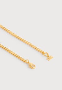 Κολιέ από αλυσίδα σε χρυσή απόχρωση με διασυνδεόμενους συνδέσμους, κούμπωμα καβουράκι και μικρό μπρελόκ με λογότυπο. Λείο υφή με γυαλιστερό φινίρισμα.