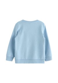 Ljusblå sweatshirt med långa ärmar, rund halsringning, ribbad manchetter och nederkant. Slät textur med en enkel, enfärgad design.