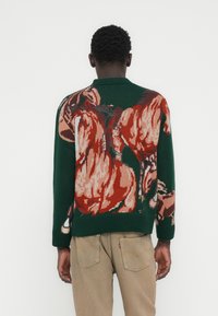 Πράσινο πλεκτό πουλόβερ με πολύχρωμο σχέδιο αλόγου στην πλάτη. Λαιμός και μανσέτες με ριμπ ύφανση, με υφή. Άνετη γραμμή.