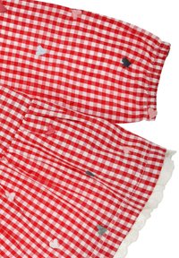 Rot-weißes Gingham-Gewebe mit vertikalen Falten, verziert mit gestickten Herzen in Pink, Blau und Grau. Mit weißer gewellter Spitze gesäumt.