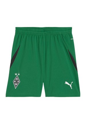 Grüne Sportshorts aus feuchtigkeitsableitendem Material. Mit schwarzen seitlichen Akzenten, einem weißen Puma-Logo und einem Vereinswappen mit zwei Sternen.