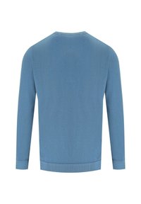 Maglione azzurro chiaro, tessuto a maglia, scollo a giro, maniche lunghe, polsini e orlo a coste, texture liscia, design semplice e non decorato.