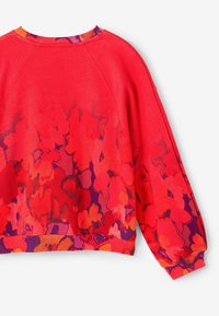 Desigual Sudadera - red