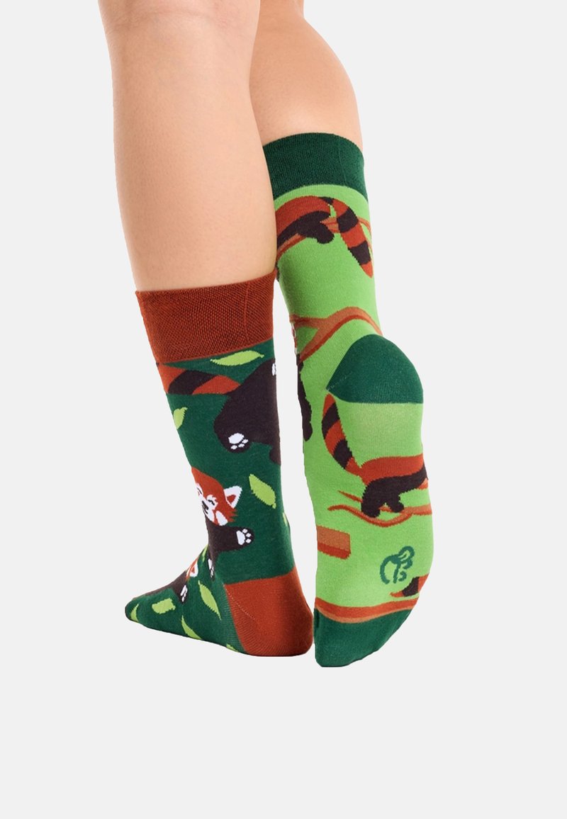 Dedoles SOCKS ADULT UNISEX - Socken - grün
