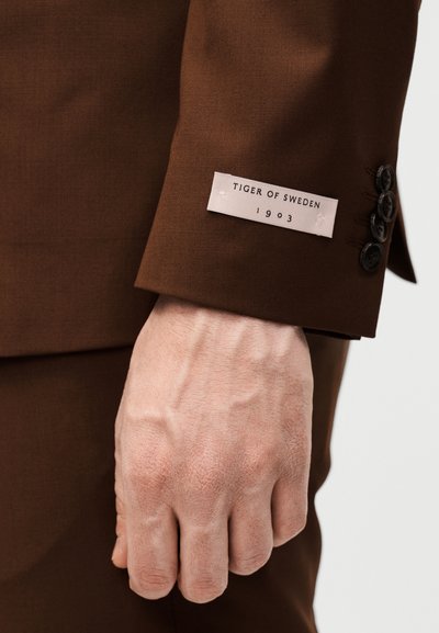 Αρσενικό χέρι δίπλα σε καφέ μανίκι σακακιού με τέσσερα μαύρα κουμπιά και ετικέτα «Tiger of Sweden 1903» στη μανσέτα.