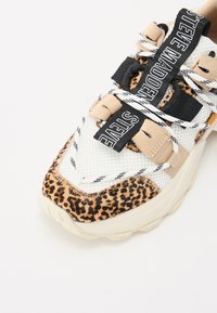 Steve Madden TAZMANIA - Trainers - brown
