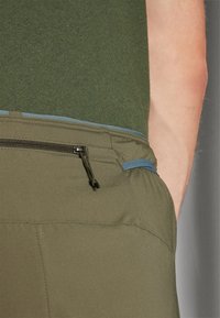 Patagonia STRIDER PRO  - Calções para exterior - pine needle green