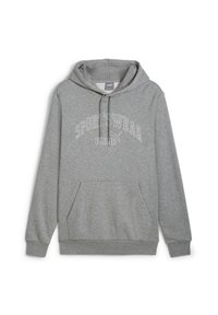 Puma Jersey con capucha - grey