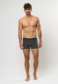 Sive bokserice s crnim elastičnim pojasom na kojem je logotip, izrađene od meke pamučne mješavine, prilagođenog dizajna i dužine do sredine bedara.