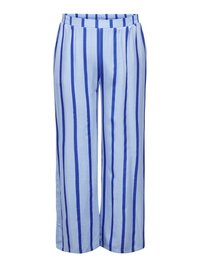 Svetlo modre hlače širokega kroja z temno modrimi navpičnimi črtami in elastičnim pasom.
