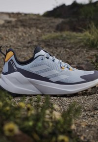 Ανοιχτό γκρι και σκουρό γκρι παπούτσι Adidas Terrex για τρέξιμο σε μονοπάτι με ανθεκτική σόλα, που ξεκουράζεται σε βραχώδη εξωτερικό χώρο κοντά σε πράσινα φυτά.