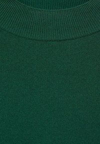 Green knit sweater featuring a ribbed crew neckline and a textured fabric surface. The design is simple with even stitching and no embellishments.