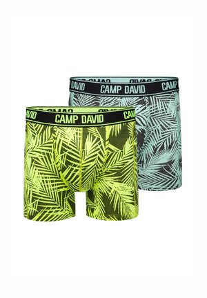 2 PACK - Trunks - aqua   neon lime