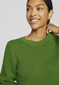 VILA VIDALO O-NECK - Stickad tröja - cactus